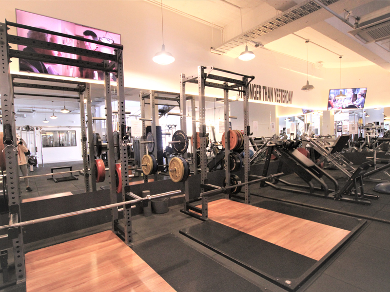 Hammer House Essendon gym interior featuring premium fitness equipment and modern training space